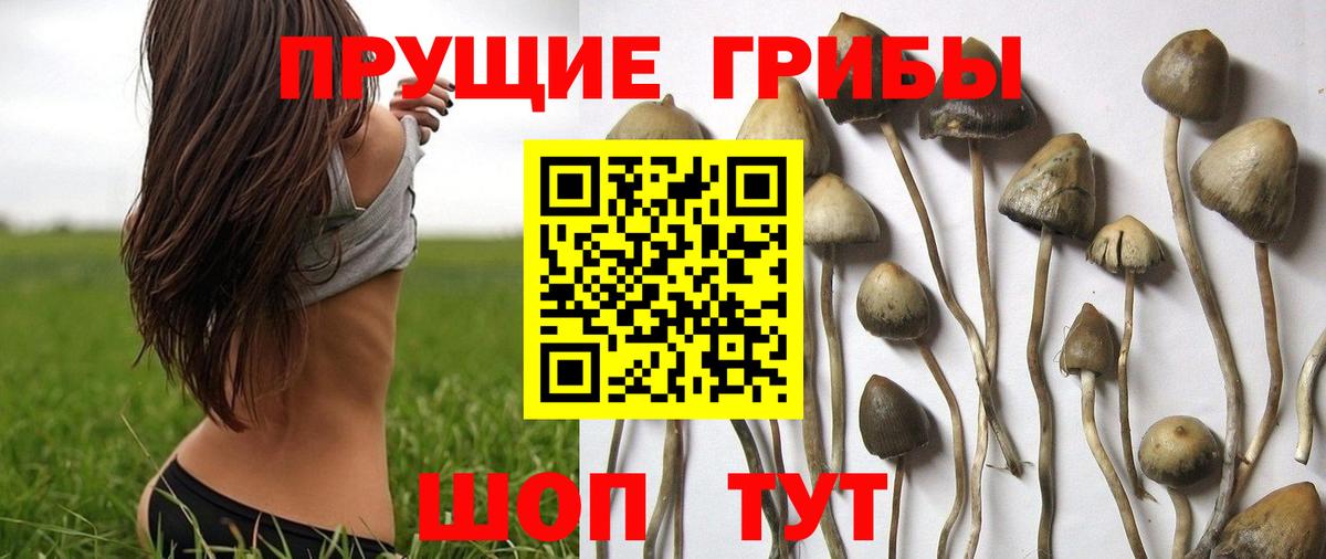 Псилоцибиновые грибы ЛСД Нарьян-Мар