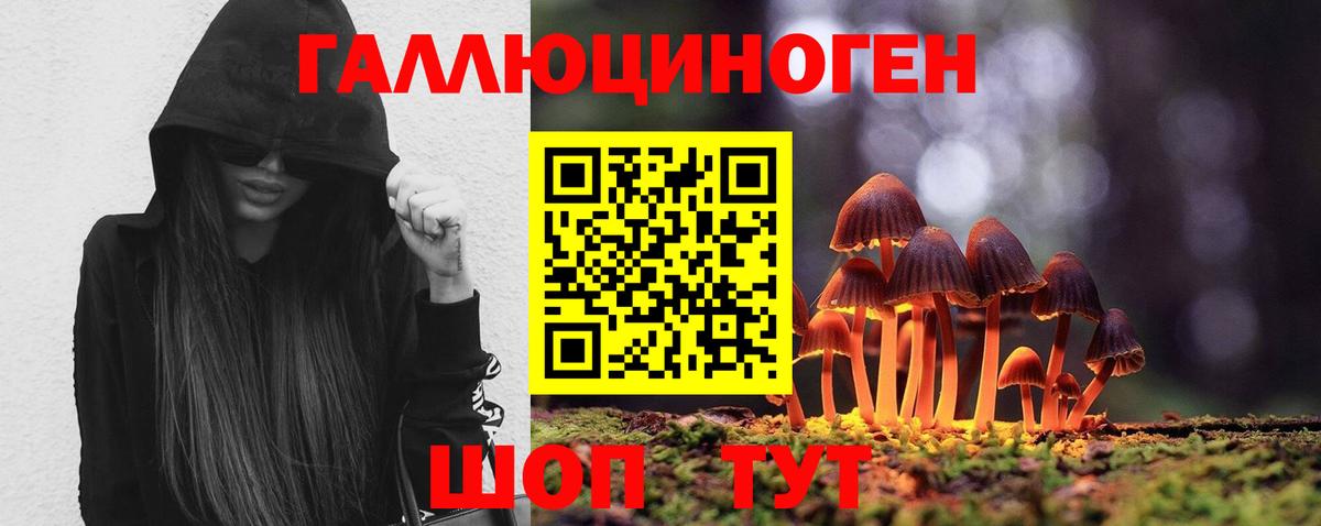 Нарьян-Мар  Галлюциногенные грибы GOLDEN TEACHER  Вход с VPN 